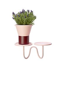 Scab portapianta da parete Mimosa