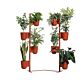 GABER FIORIERA GUFO PLANTERS KIT1