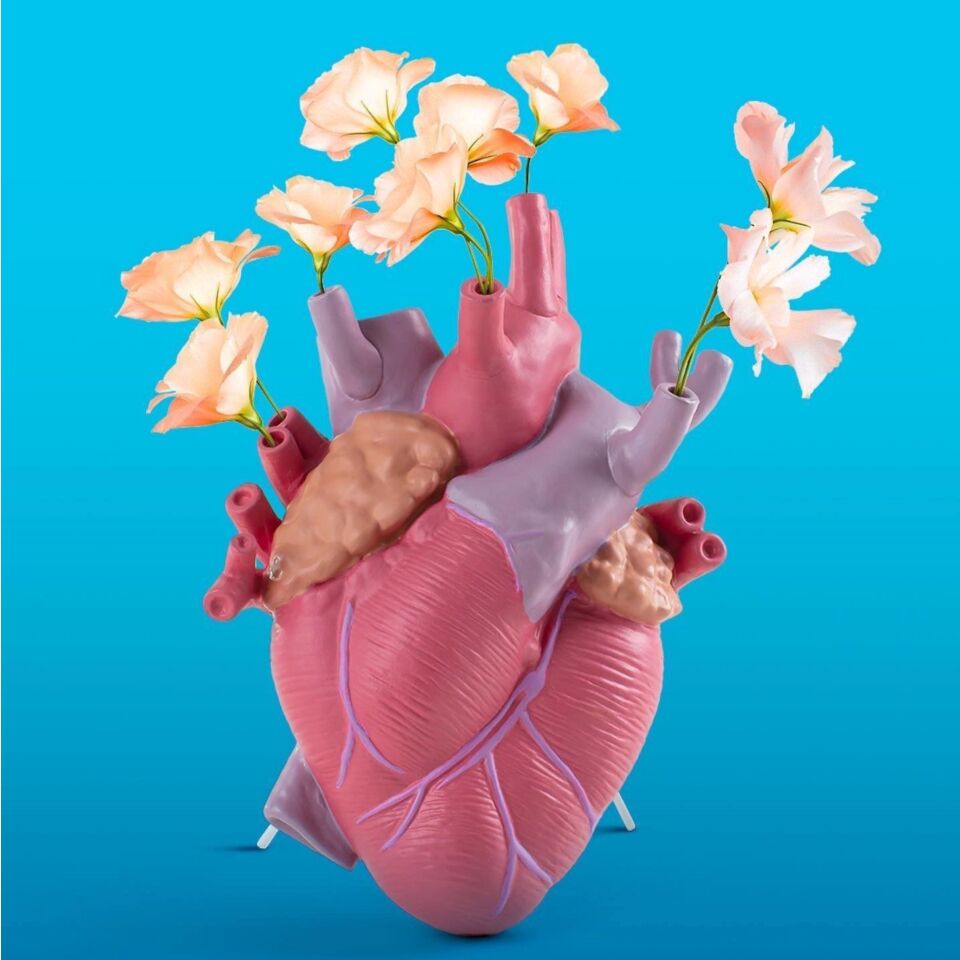 Vaso Cuore,Vaso Anatomico del Cuore,Vaso a forma di cuore